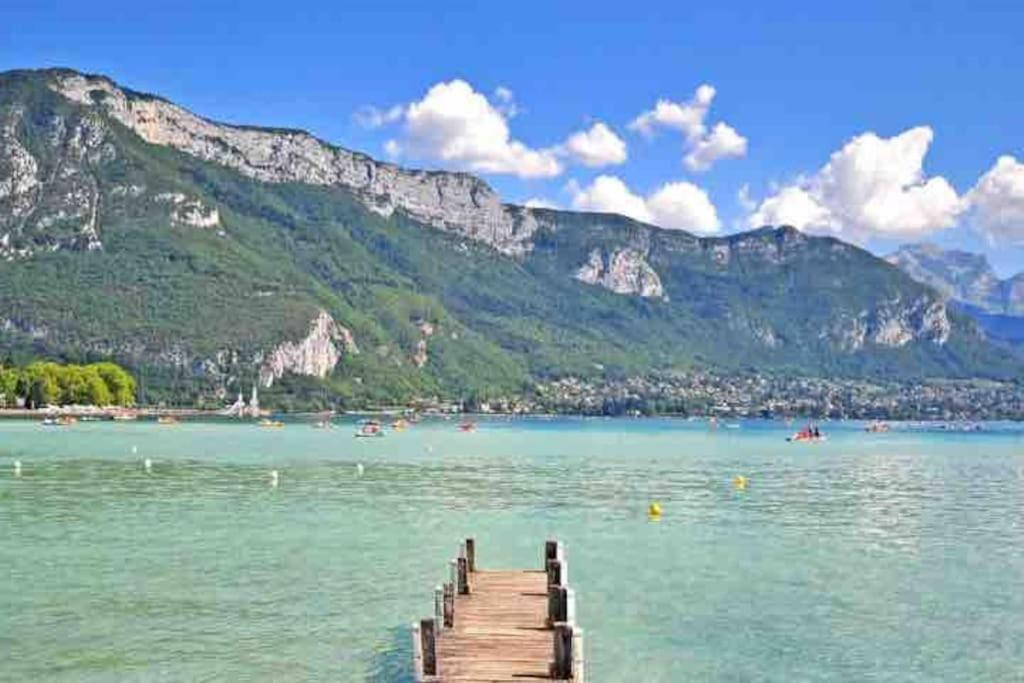 Apartment La Perle Du Thiou - T3 Au Centre D'annecy Avec Parking Prive Annecy